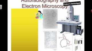 Cairns Technique 2016 IB Biology [upl. by Ivett257]