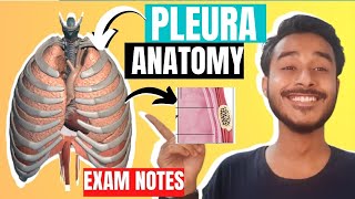 Pleura anatomy 3D  Difference between visceral and parietal pleura [upl. by Ayomat610]