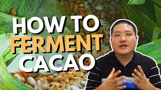 How to Ferment Cacao Beans [upl. by Melissa835]