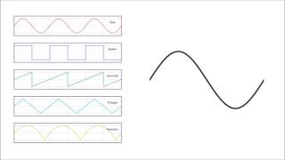 Basic Waveforms [upl. by Tibold]