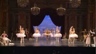 BalletTV THE NUTCRACKER [upl. by Leahcimdivad]