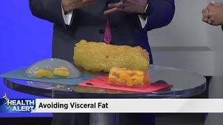 Avoiding visceral fat [upl. by Mell]