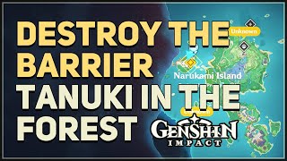 Tanuki Destroy the barrier Puzzle Genshin Impact [upl. by Ajram]