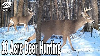 3 Best 10 Acre Deer Habitat Setups [upl. by Ehcram]