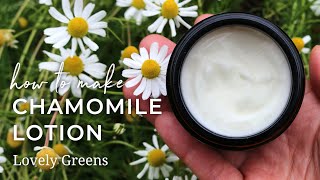 Make Homemade Chamomile Lotion stepbystep from fresh flowers to natural skincare [upl. by Armmat]