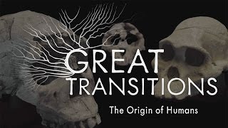 Great Transitions The Origin of Humans — HHMI BioInteractive Video [upl. by Evette]