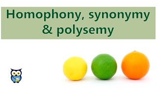 Homophony Synonymy Polysemy [upl. by Lotz]