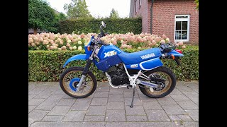 Complete Restoration Yamaha XT 600 1987 [upl. by Nylsirk]