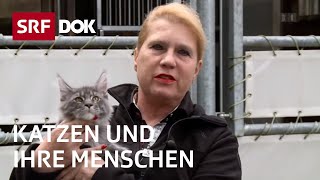 Katzenliebe in der Schweiz  Katzen und ihre Menschen  Doku  SRF Dok [upl. by Katerina]