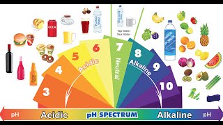 Acidic Foods vs Alkaline Foods [upl. by Aicerg]