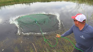 Cast Netting 1000’s of fish How To Castnet [upl. by Liemaj]