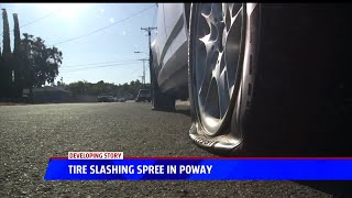 Tire Slashing Spree In Poway [upl. by Ximena135]