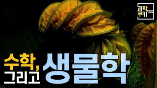 논리의 결정체 수학으로 생물을 연구한다는 것은 무엇을 의미하는걸까 [upl. by Ennaitsirhc]