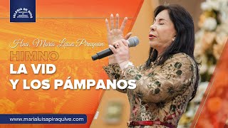 Himno La Vid y los Pámpanos Hna María Luisa Piraquive IDMJI [upl. by Piero768]