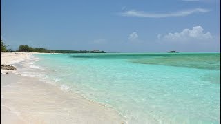 Best Beaches in Bahamas  YOUR Top 10 best Bahamas beaches [upl. by Esineg530]