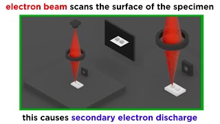 Electron Microscopy TEM and SEM [upl. by Sinne]