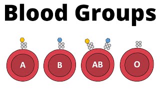 ABO Blood Group System AB0 Blood types amp compatibility explained [upl. by Howie]