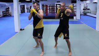 Beginner Friendly 20 Minute Boxing Workout at Home without any Equipment 2022 [upl. by Umont]