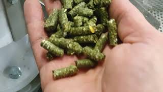 Alfalfa pellets video [upl. by Ydorb]