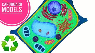 Easy Plant Cell Model Project  Step by Step [upl. by Karine63]