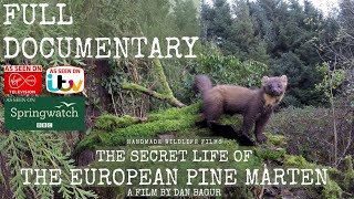 The Secret Life of the Pine Marten  Full Documentary [upl. by Arikat422]