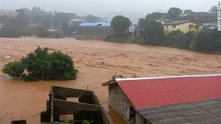 Hundreds feared dead in Sierra Leone mudslides [upl. by Jerrylee194]