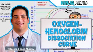 Respiratory  OxygenHemoglobin Dissociation Curve [upl. by Nonnahc]