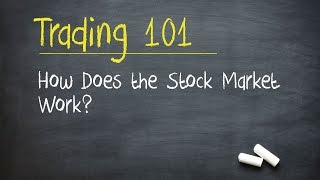 Trading 101 How Does the Stock Market Work [upl. by Ilenna733]