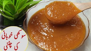 Khubani Ki Chutney Recipe Dry Apricot Sauce خوبانی کی چٹنی [upl. by Fredrika439]