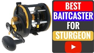 WOW Penn Squall 50LW Baitcaster Reel Review [upl. by Jarib179]