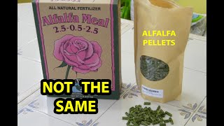 ALFALFA Pellets For Organic Fertilizer REAL TRUTH Reveal [upl. by Eiramnaej964]