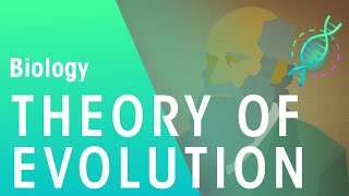 The Theory of Evolution by Natural Selection  Evolution  Biology  FuseSchool [upl. by Phillane]