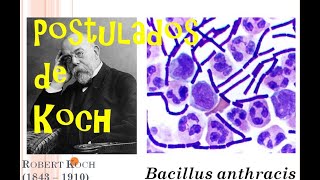 Postulados de Koch  Biomed Channel [upl. by Snoddy865]