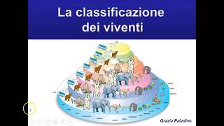 La classificazione dei viventi [upl. by Elletnuahs]