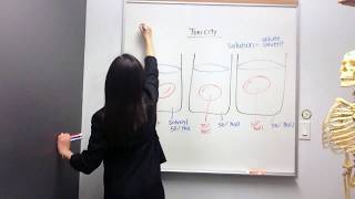 Tonicity Hypertonic Hypotonic and Isotonic Solutions [upl. by Anniroc338]