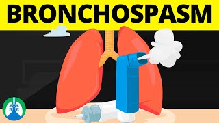 Video 13 Circulatory System and Respiratory Support [upl. by Callum]