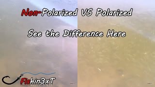 See Underwater with Polarized Glasses [upl. by Raval805]