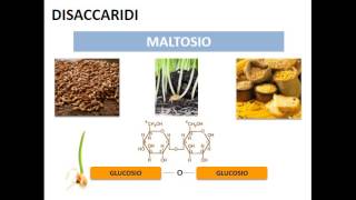 Le biomolecole i carboidrati [upl. by Snej]