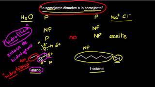 Solubilidad de compuestos orgánicos [upl. by Adlar]