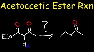 Acetoacetic Ester Synthesis Reaction Mechanism [upl. by Karab]