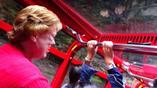 Blue Mountain Scenic Railway  worlds steepest inclined Railway [upl. by Tsai152]