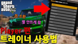 GTA5 트레이너 사용법  Player 편 [upl. by Hourihan]