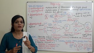 Class 32  Polyploidy Part 02  Types amp Application of Polyploidy  Reference to Medicinal Plant [upl. by Amorita]