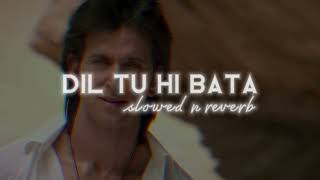 Dil Tu Hi Bata KRISH 3 Slowed and Reverb 🔥 [upl. by Atnohsal217]