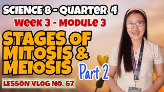 Stages of Mitosis and Meiosis Part 2  Module 3  SCIENCE 8 [upl. by Mischa]