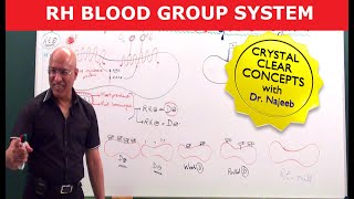 Rh Blood Group System  Dr Najeeb [upl. by Niahs]