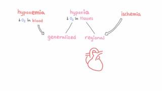 Introduction to hypoxemia [upl. by Seena]