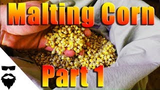 HOW TO MALT CORN FOR MOONSHINE amp BEER  EASY Part 1 [upl. by Byrn883]