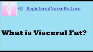 What is Visceral Fat [upl. by Maddy]