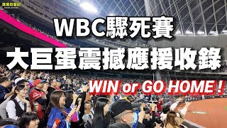 WBC驟死賽，大巨蛋震撼應援紀錄！中華隊贏啦！！ 臺灣尚勇 經典賽 [upl. by Roath]